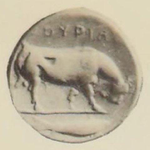 Catalog match, reverse