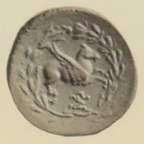 Catalog match, reverse