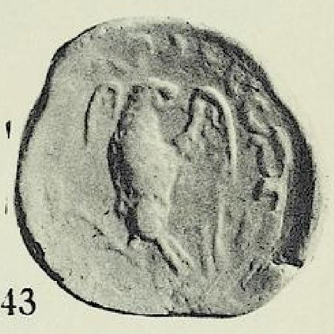 Catalog match, reverse