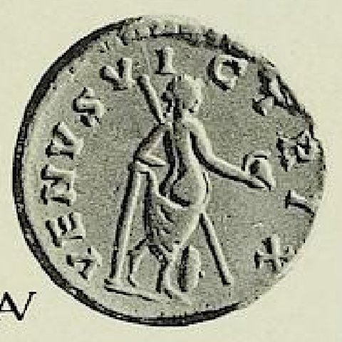Catalog match, reverse