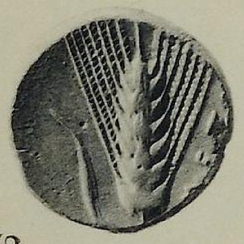 Catalog match, reverse