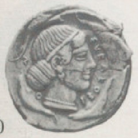 Catalog match, reverse