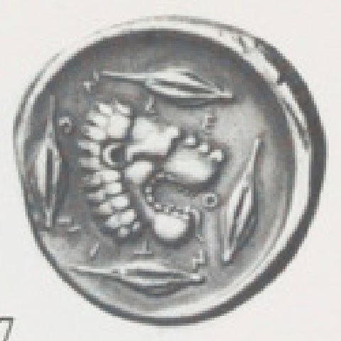 Catalog match, reverse