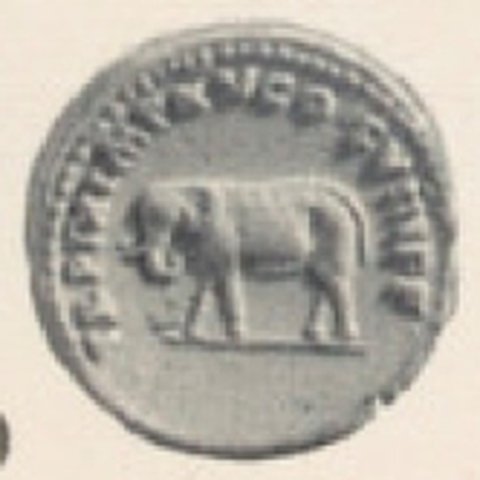 Catalog match, reverse
