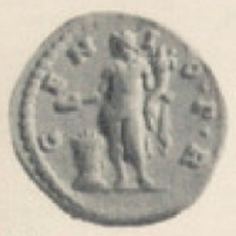 Catalog match, reverse
