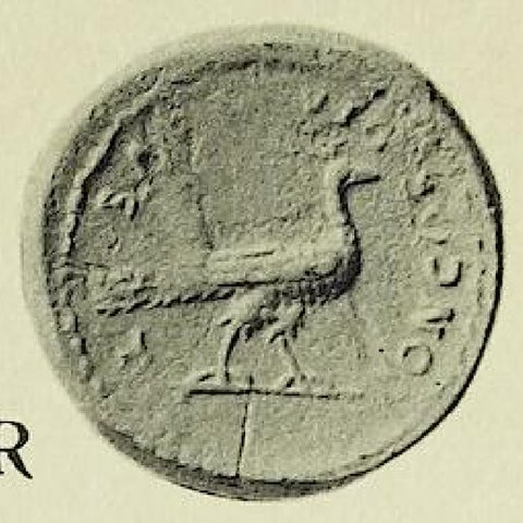 Catalog match, reverse