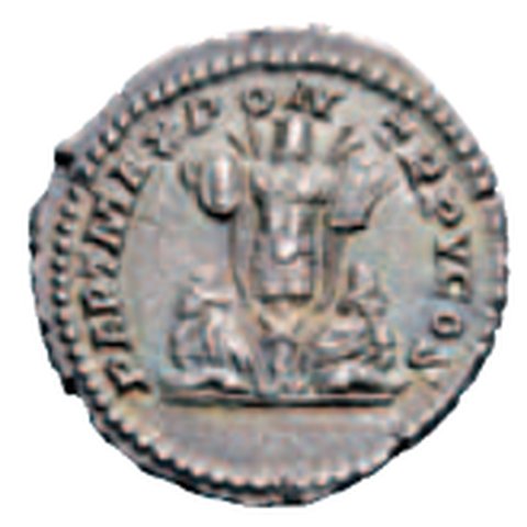 Catalog match, reverse