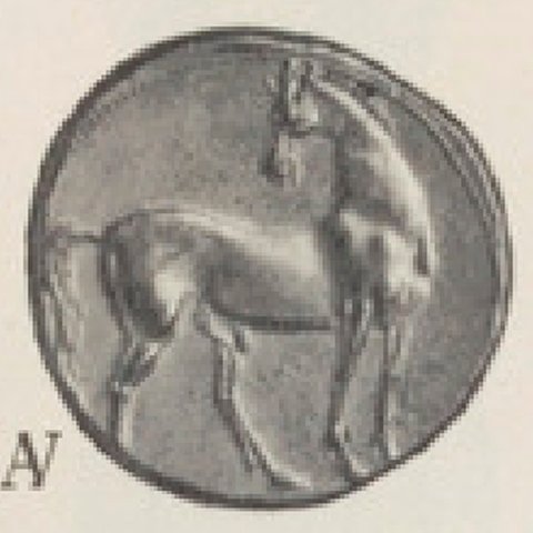 Catalog match, reverse
