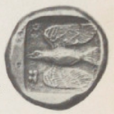 Catalog match, reverse