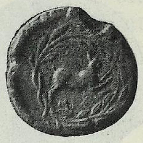 Catalog match, reverse