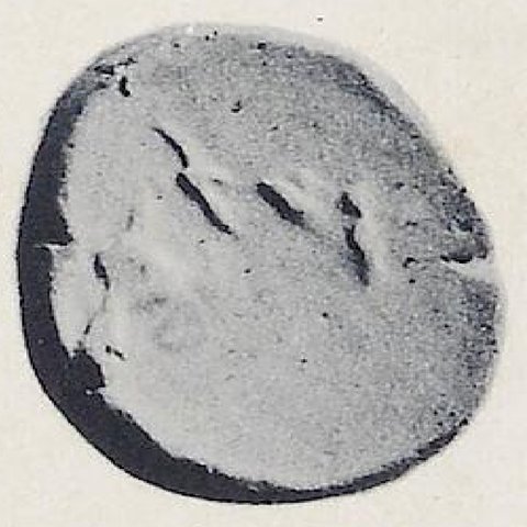 Catalog match, reverse