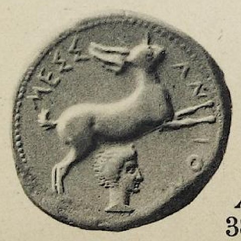 Catalog match, reverse