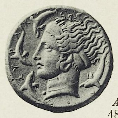 Catalog match, reverse
