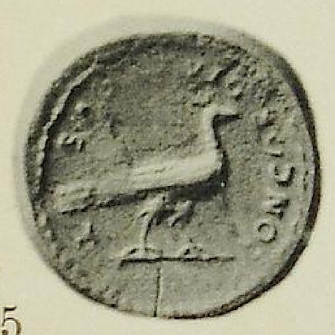 Catalog match, reverse