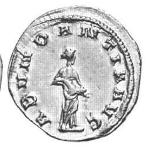 Catalog match, reverse