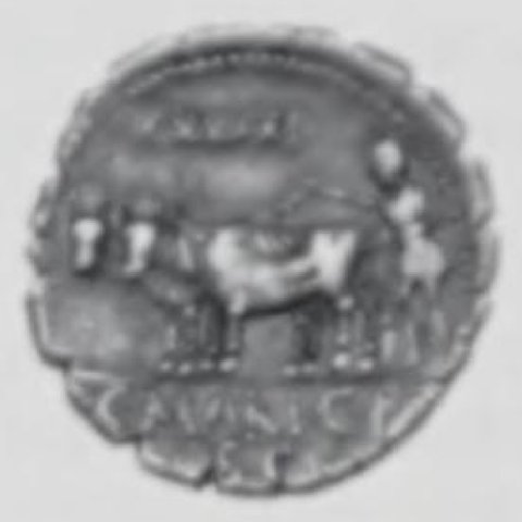 Catalog match, reverse