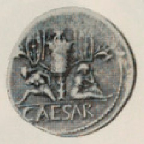 Catalog match, reverse