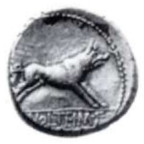 Catalog match, reverse
