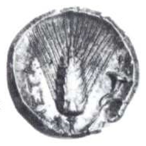 Catalog match, reverse