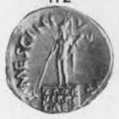 Catalog match, reverse