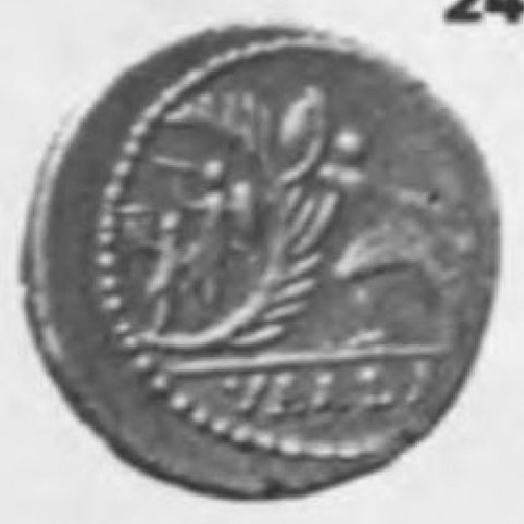 Catalog match, reverse