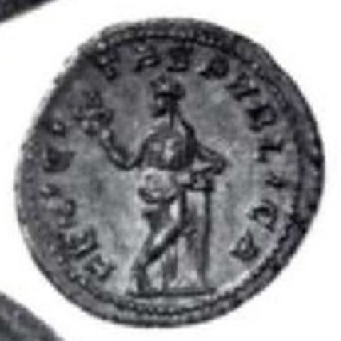 Catalog match, reverse