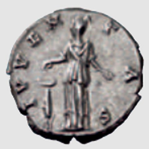 Catalog match, reverse