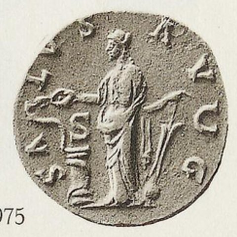 Catalog match, reverse