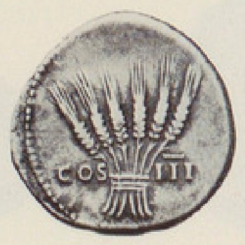 Catalog match, reverse