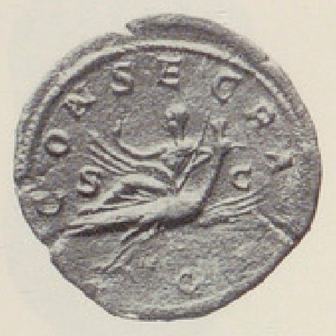 Catalog match, reverse