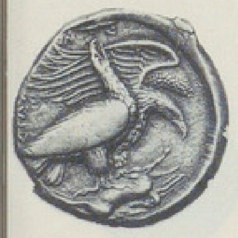 Catalog match, reverse