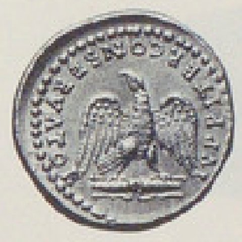 Catalog match, reverse