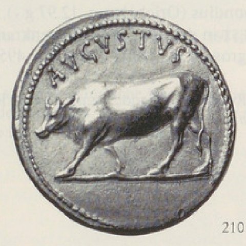 Catalog match, reverse