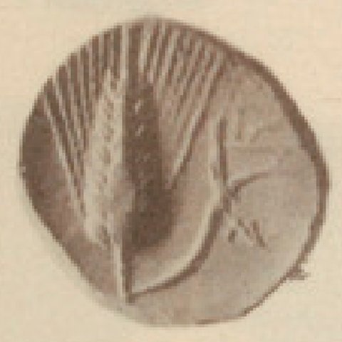 Catalog match, reverse
