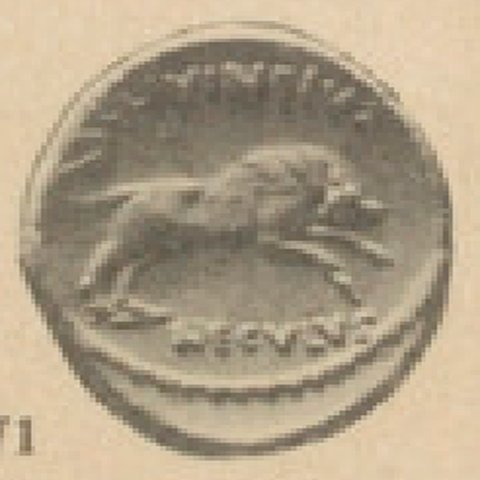 Catalog match, reverse
