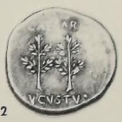 Catalog match, reverse