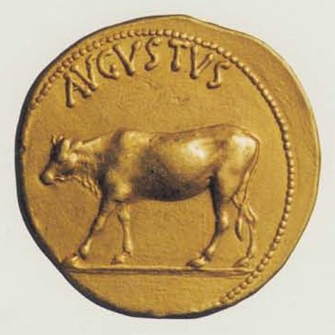 Catalog match, reverse