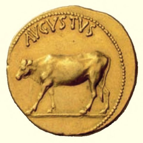 Catalog match, reverse