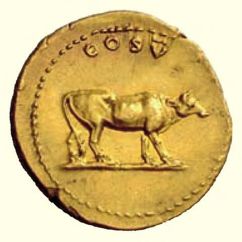 Catalog match, reverse