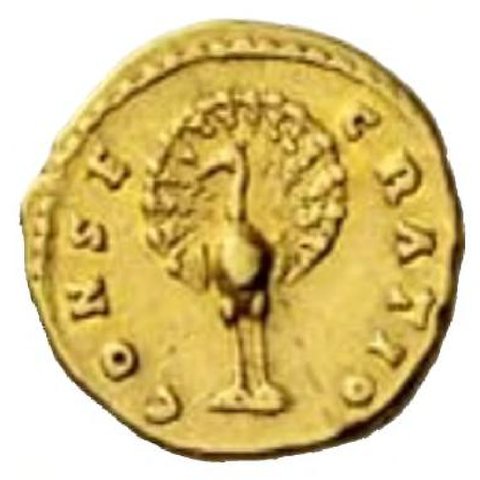 Catalog match, reverse