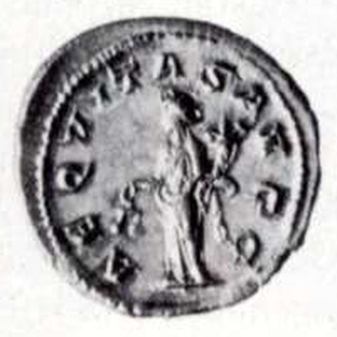 Catalog match, reverse