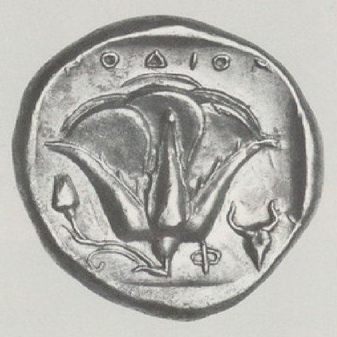 Catalog match, reverse