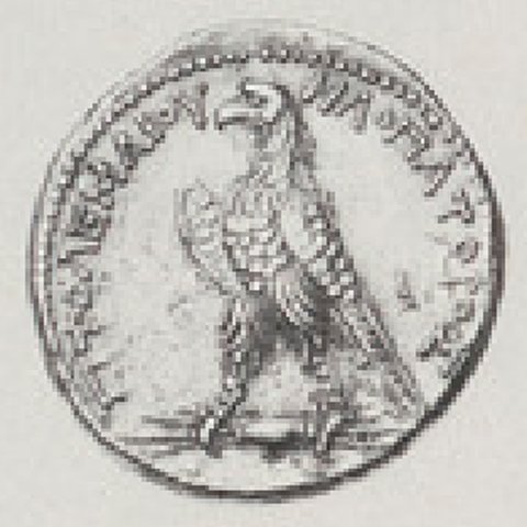 Catalog match, reverse