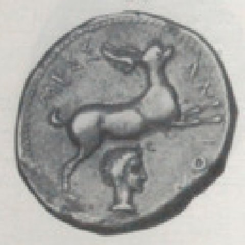 Catalog match, reverse