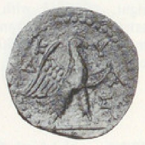 Catalog match, reverse