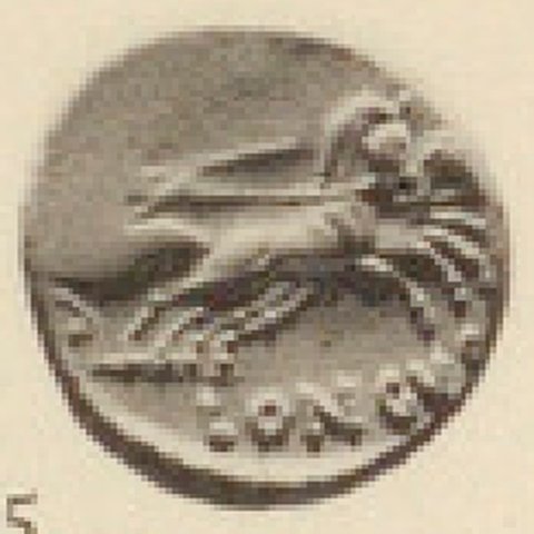 Catalog match, reverse