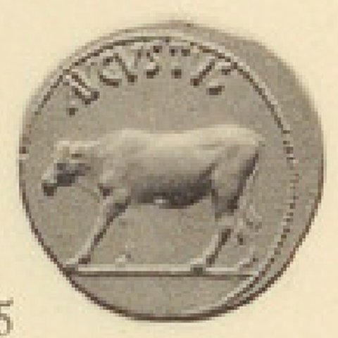 Catalog match, reverse