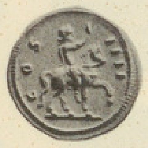 Catalog match, reverse