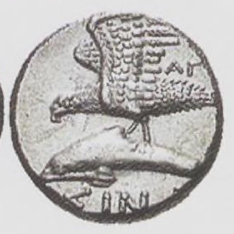 Catalog match, reverse