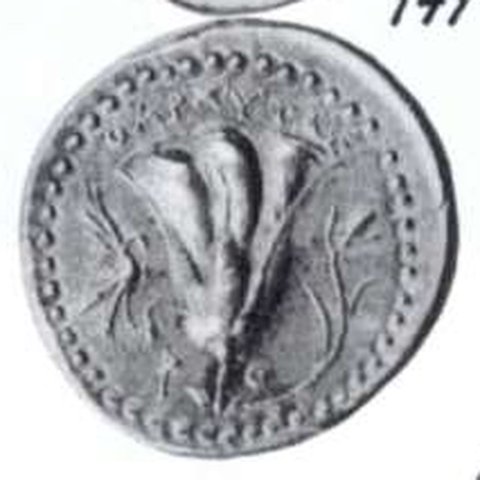 Catalog match, reverse